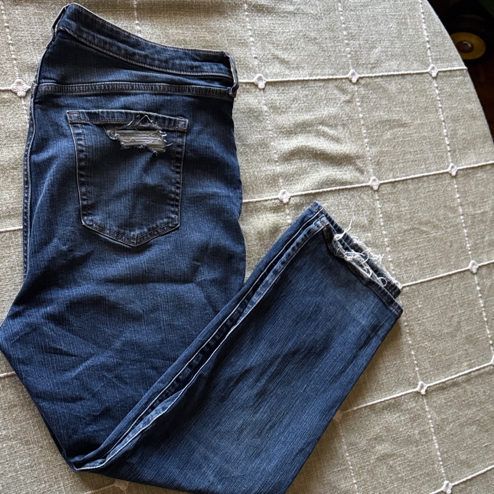 Torrid Women's High Rise Blue Jeans